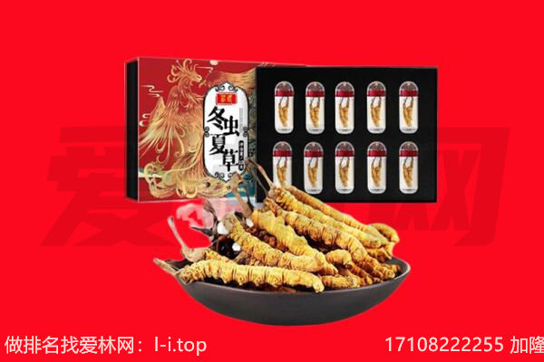 铁岭回收虫草.jpg